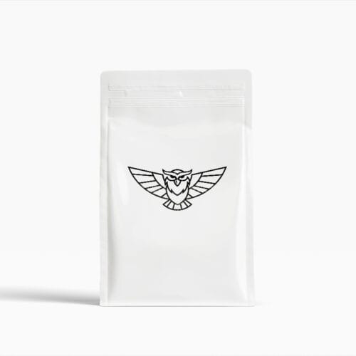 logo-Noctura-Owl-mk-05