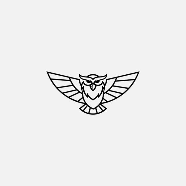Noctura Owl Logo — Modern Geometric Symbol of Wisdom and Strength